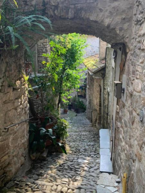 Beautiful, private and strategically located house in Medieval village